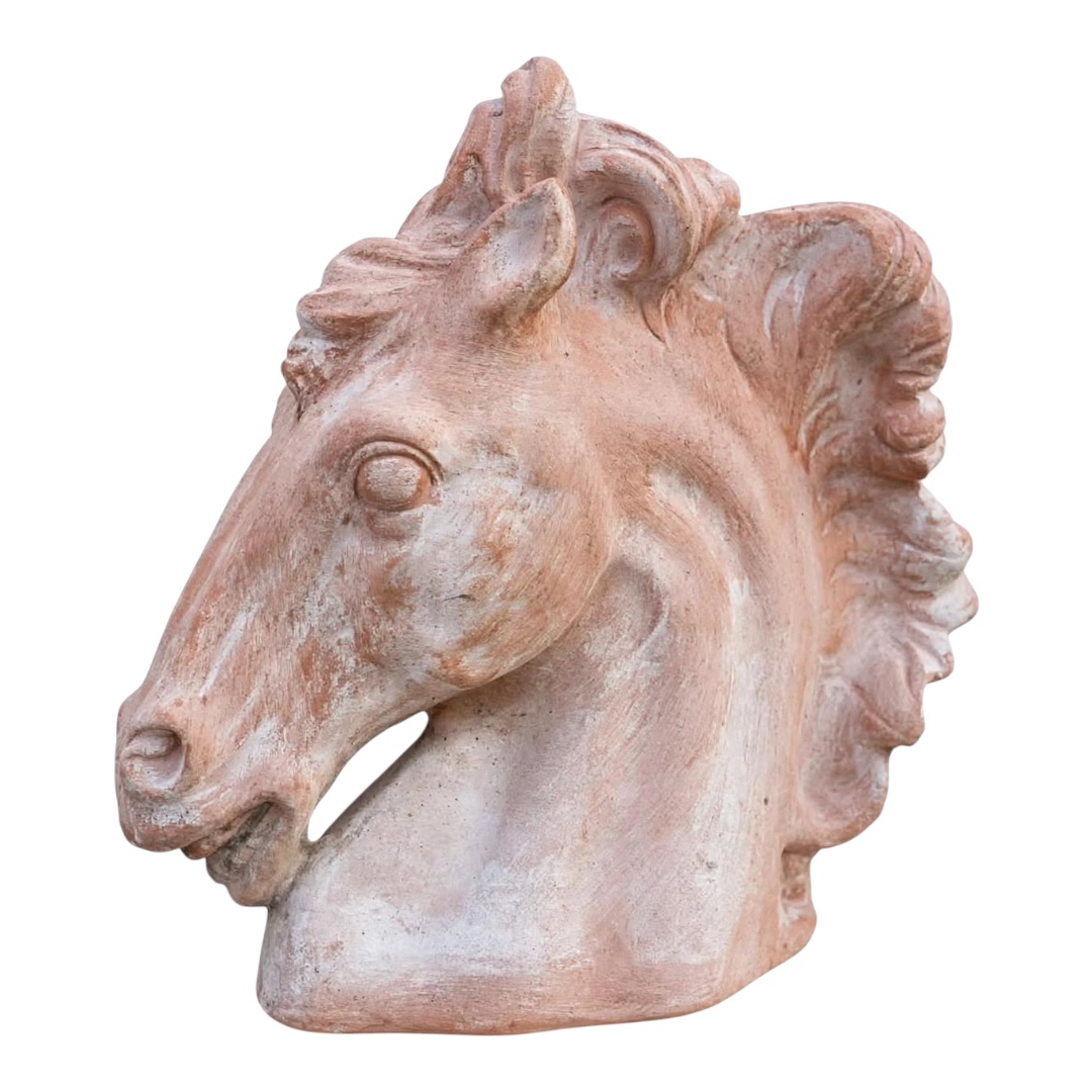 Animali