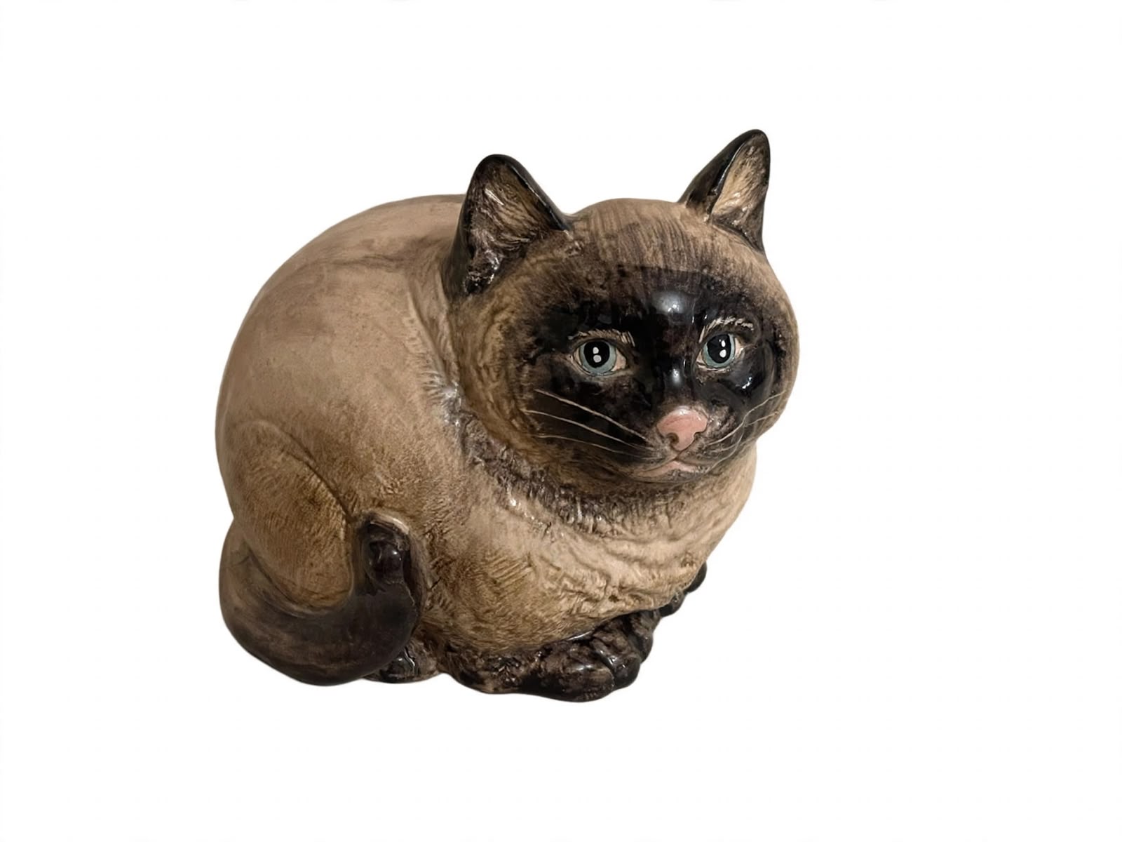 Gatto curioso siamese 16x16