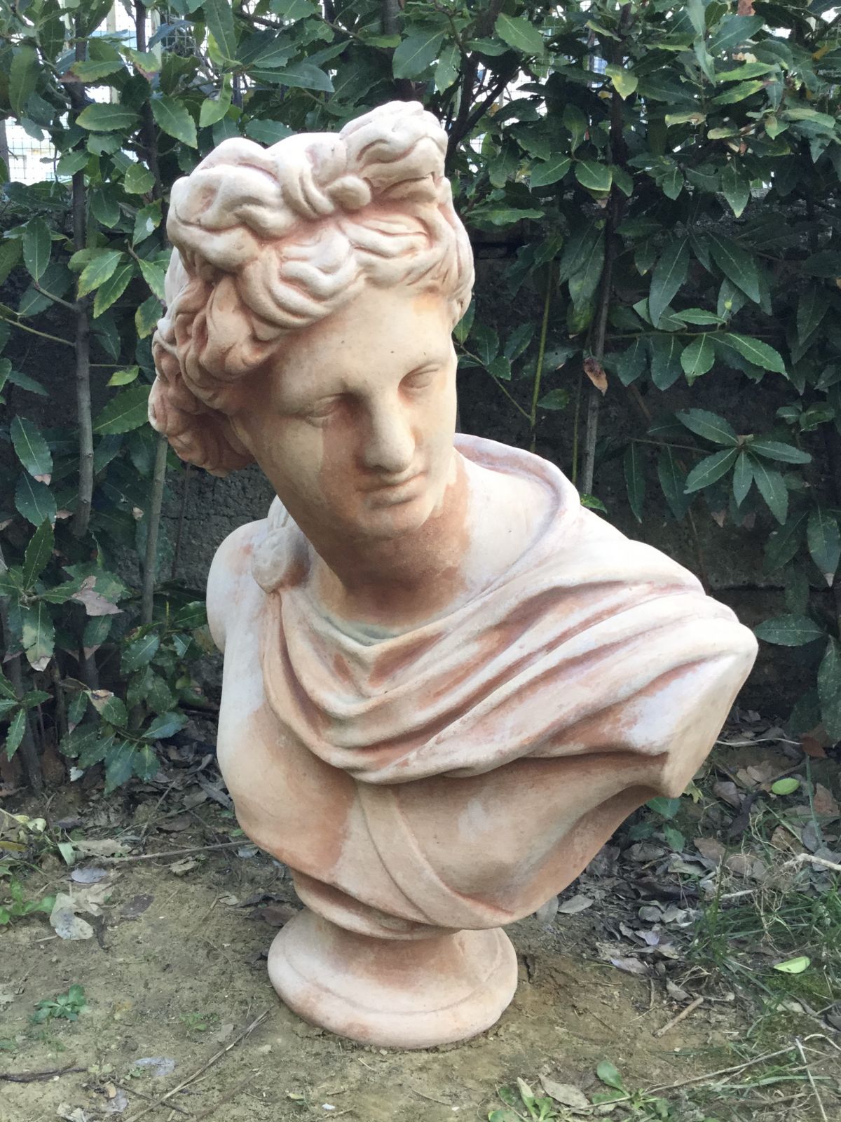 Busto Apollo in Terracotta h70xL52