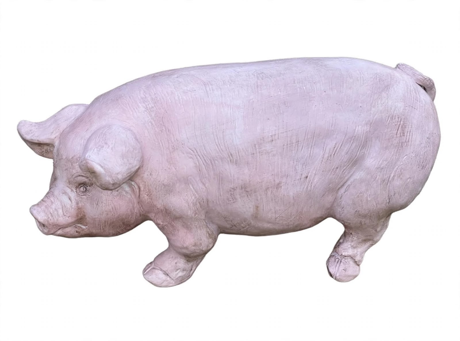 Pig 60 x 30 cm