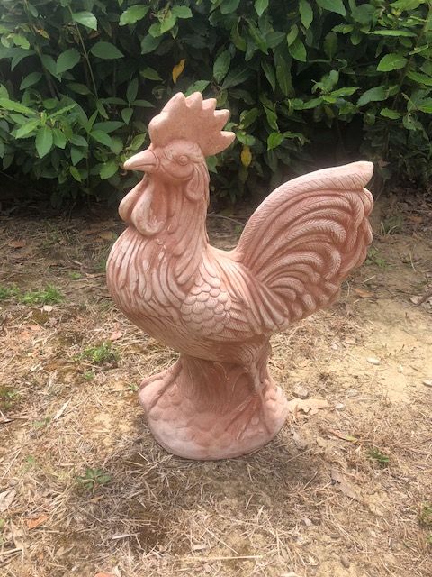 Gallo in terracotta h48 