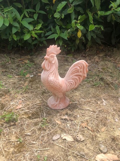 Gallo in terracotta h28 