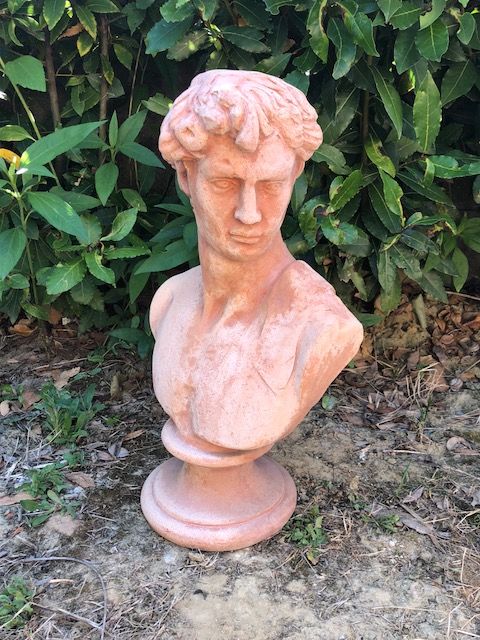 Busto David in Terracotta h48